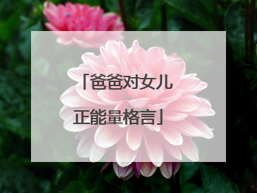 爸爸对女儿正能量格言