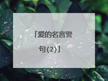爱的名言警句(2)