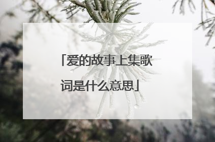 爱的故事上集歌词是什么意思