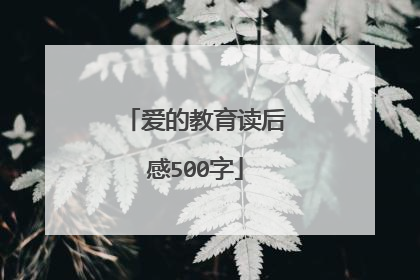 爱的教育读后感500字