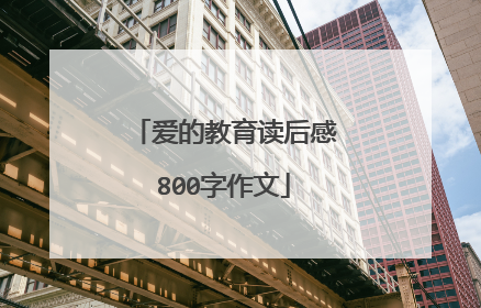 爱的教育读后感800字作文