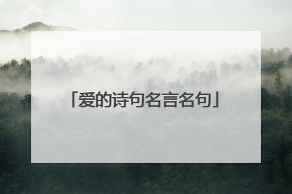 爱的诗句名言名句