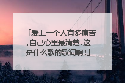 爱上一个人有多痛苦,自己心里最清楚.这是什么歌的歌词啊!