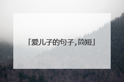 爱儿子的句子,简短