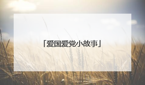 爱国爱党小故事