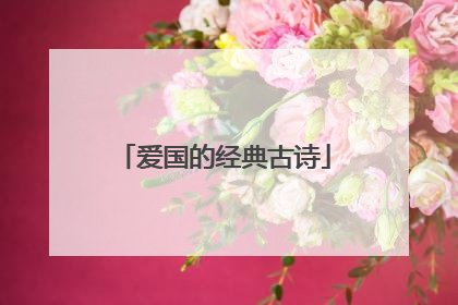 爱国的经典古诗