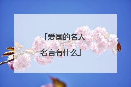 爱国的名人名言有什么