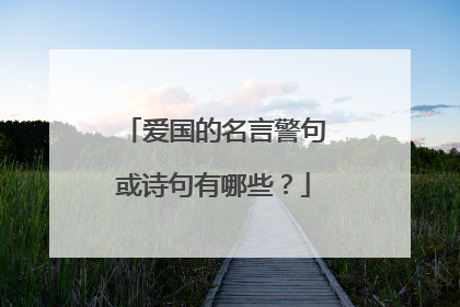 爱国的名言警句或诗句有哪些？