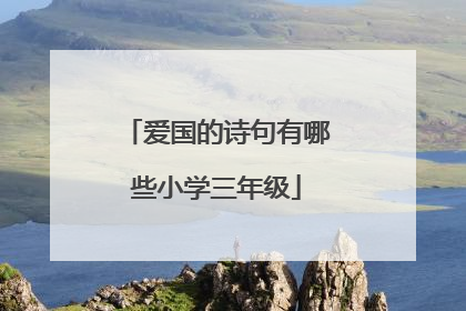 爱国的诗句有哪些小学三年级