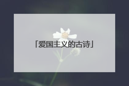 爱国主义的古诗