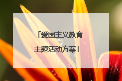 爱国主义教育主题活动方案
