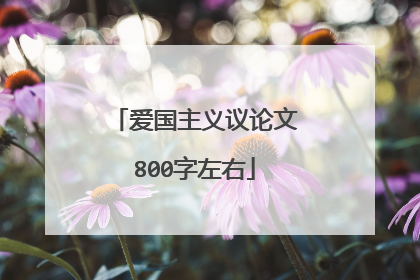 爱国主义议论文800字左右