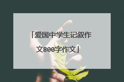 爱国中学生记叙作文800字作文