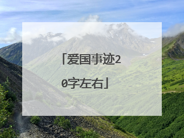 爱国事迹20字左右