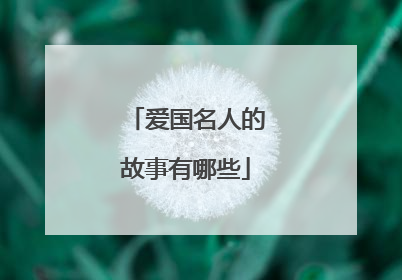 爱国名人的故事有哪些