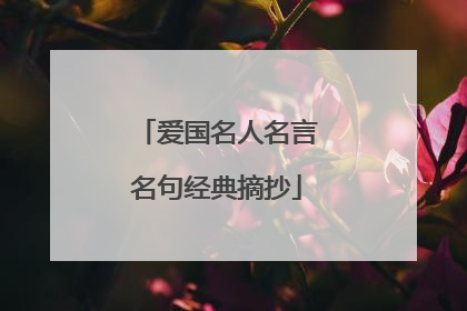 爱国名人名言名句经典摘抄