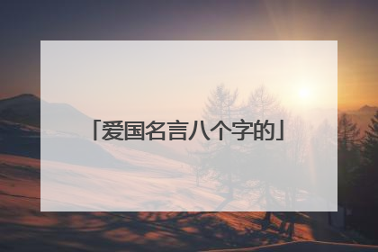 爱国名言八个字的