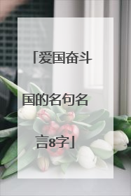 爱国奋斗国的名句名言8字