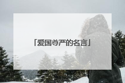 爱国尊严的名言