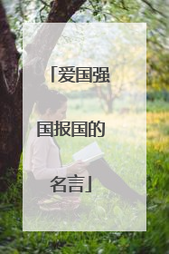 爱国强国报国的名言