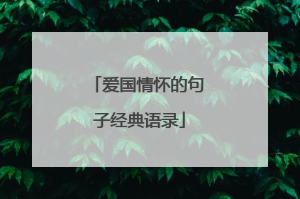 爱国情怀的句子经典语录