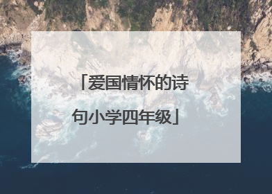 爱国情怀的诗句小学四年级
