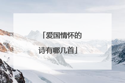 爱国情怀的诗有哪几首