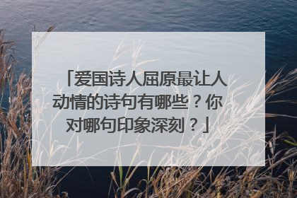 爱国诗人屈原最让人动情的诗句有哪些?你对哪句印象深刻?