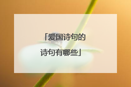 爱国诗句的诗句有哪些