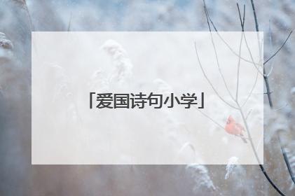 爱国诗句小学