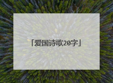 爱国诗歌20字