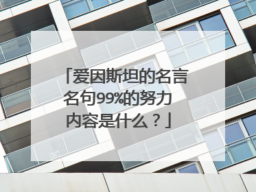 爱因斯坦的名言名句99%的努力内容是什么？