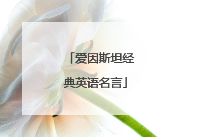 爱因斯坦经典英语名言