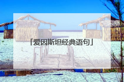 爱因斯坦经典语句