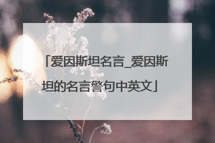 爱因斯坦名言_爱因斯坦的名言警句中英文