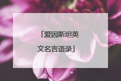 爱因斯坦英文名言语录