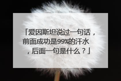 爱因斯坦说过一句话，前面成功是99%的汗水，后面一句是什么？