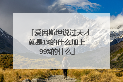 爱因斯坦说过天才就是1%的什么加上99%的什么