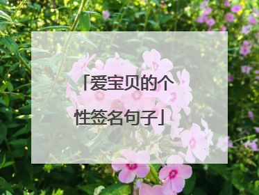 爱宝贝的个性签名句子