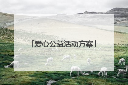 爱心公益活动方案