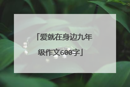 爱就在身边九年级作文600字