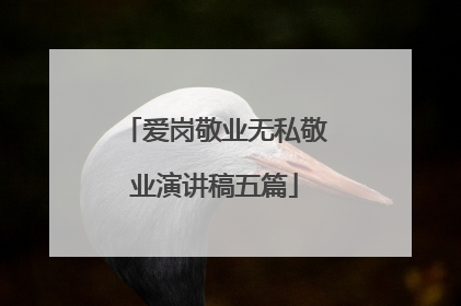 爱岗敬业无私敬业演讲稿五篇