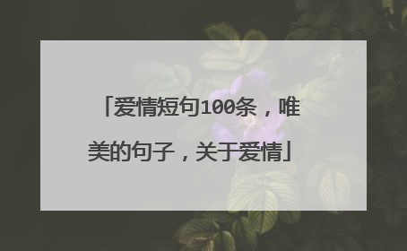 爱情短句100条，唯美的句子，关于爱情