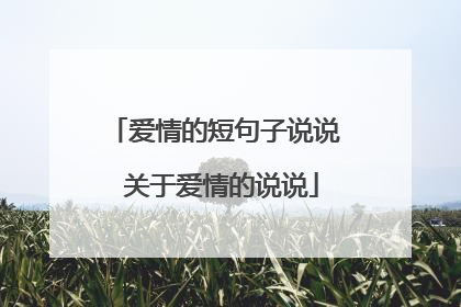 爱情的短句子说说 关于爱情的说说