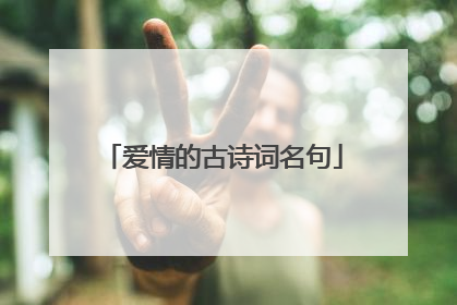 爱情的古诗词名句