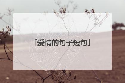 爱情的句子短句