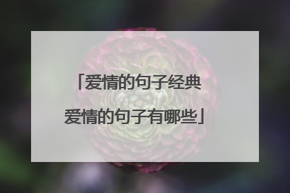 爱情的句子经典 爱情的句子有哪些