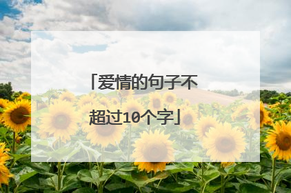 爱情的句子不超过10个字