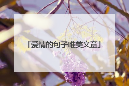 爱情的句子唯美文章