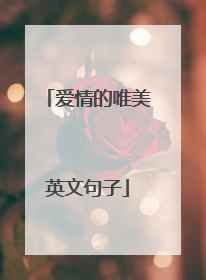 爱情的唯美英文句子